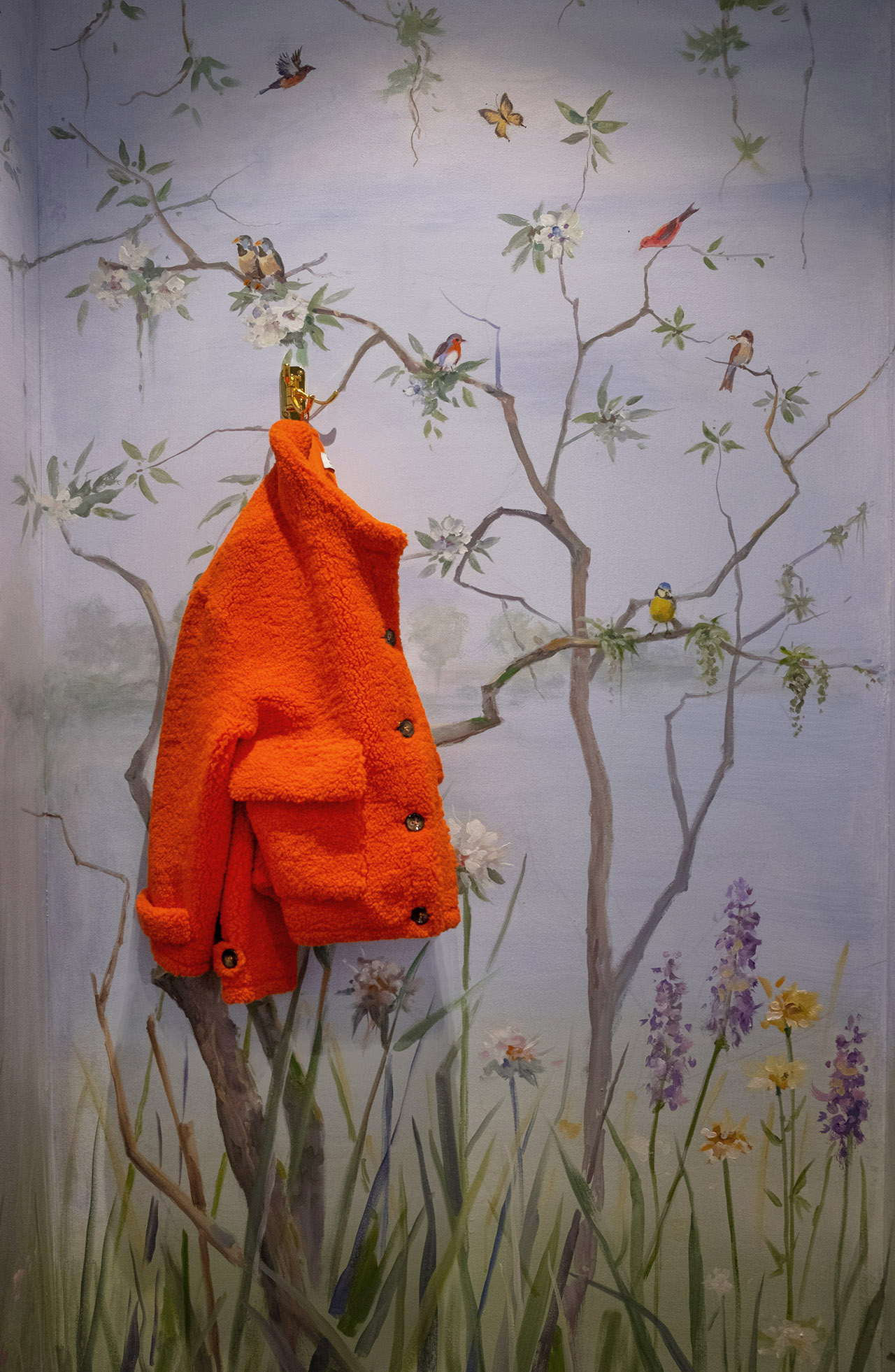 ORANGE TUXEDO ORANGE TUXEDO